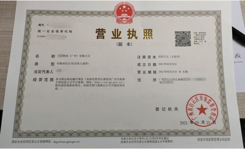 特殊核名方式帮助国际物流公司通过广州天河公司注册,拿证